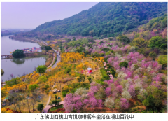 春分踏青正当时 百胜中国以消费场景创新激活春日经济